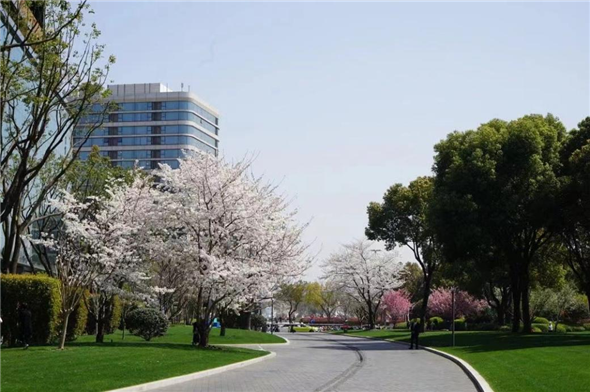 1740991409858092608.png 图片4.png